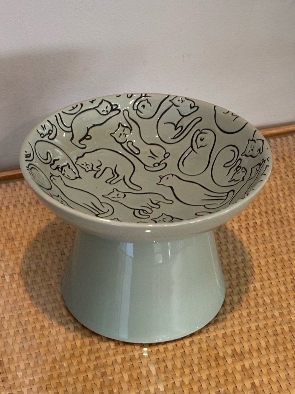 Raised Cat bowl in a beautiful sage green color new without tags!